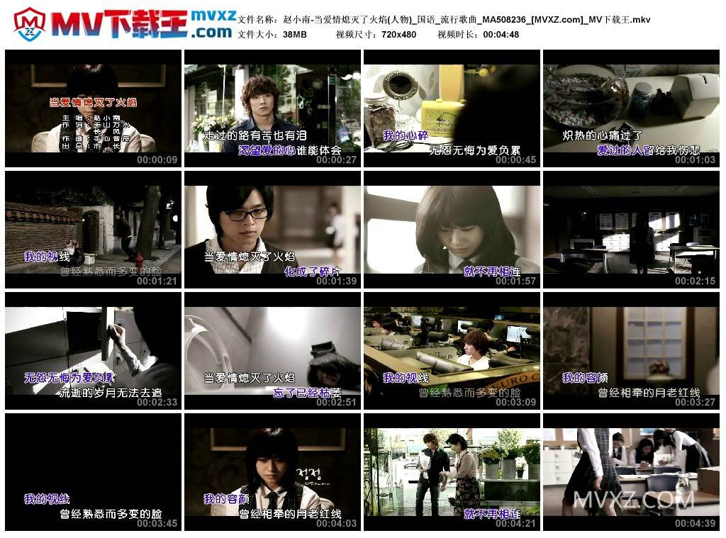 赵小南-当爱情熄灭了火焰(人物)_国语_流行歌曲_MA508236